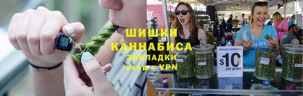 дмт Пересвет