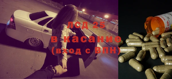 индика Алзамай