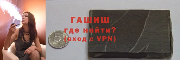 индика Алзамай