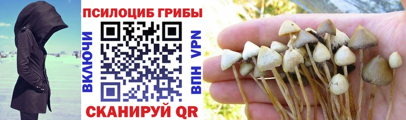 Галлюциногенные грибы MAGIC MUSHROOMS  kraken как войти  Глазов 